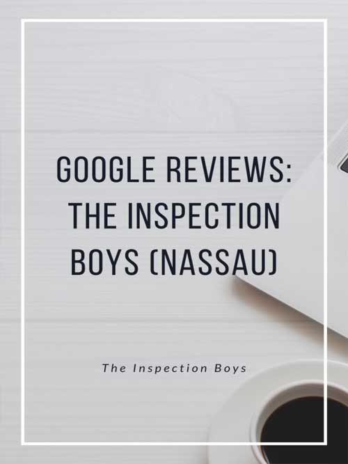 Google Reviews: The Inspection Boys