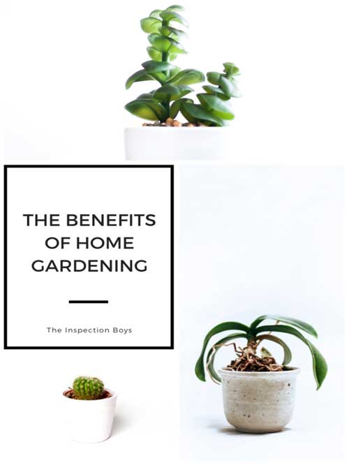 The benefits of home gardening