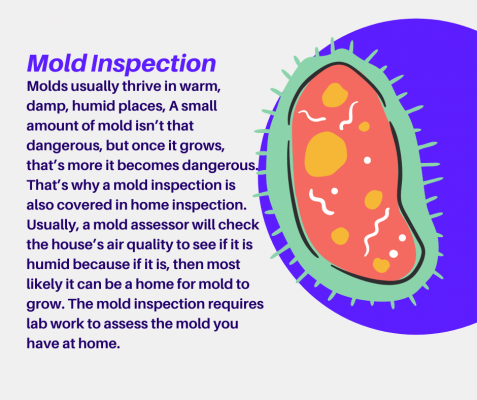 nassau county mold inspection