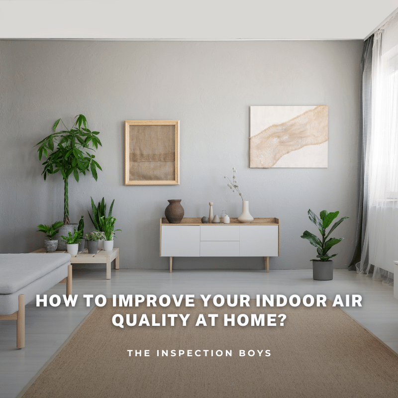 how to improve indoor air quality at home?