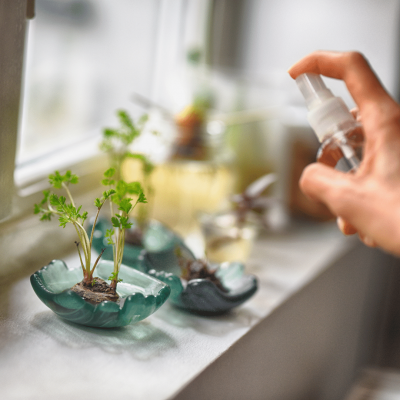 Indoor Gardening (DIY Project)