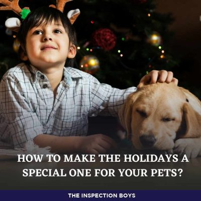 How to make the holidays a special one for your pets?